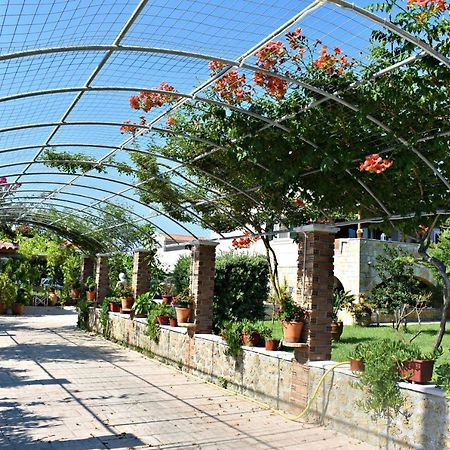 Kakia 2 Bedroom Apartment Zakynthos Town Ngoại thất bức ảnh